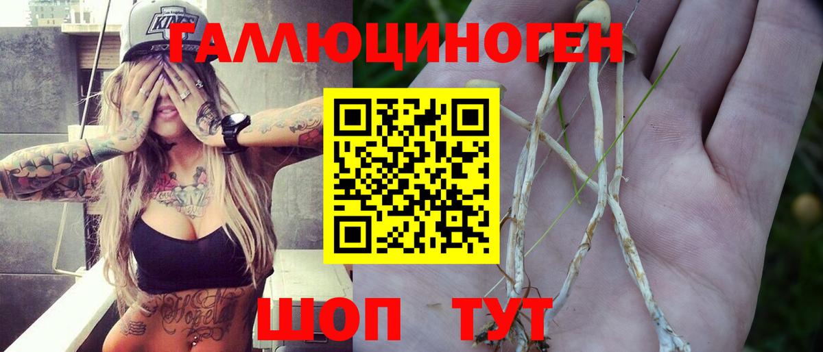 Галлюциногенные грибы Psilocybine cubensis  Вход с VPN  Великие Луки 